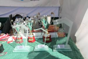 Puch Wojta Gminy Rok Pam 2013-22